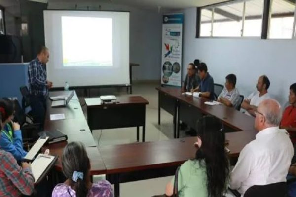 CONSULTORIA AMBIENTAL