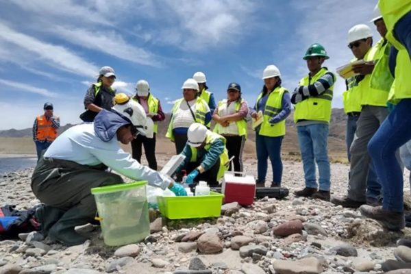 MONITOREO AMBIENTAL