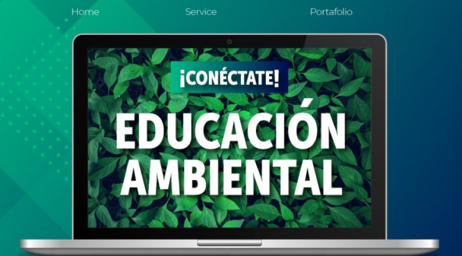 curso virtual